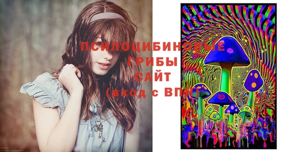 ГАЛЛЮЦИНОГЕННЫЕ ГРИБЫ Навашино