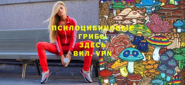 дурь Нея