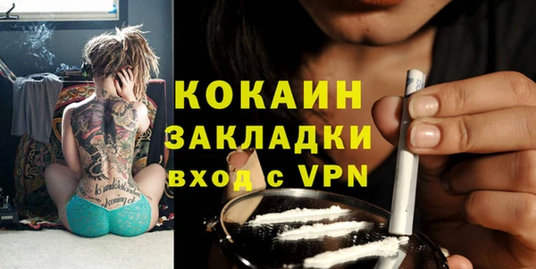 шишки Наволоки