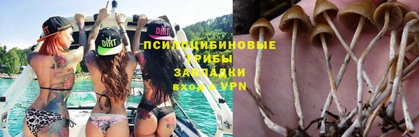 ECSTASY Козловка
