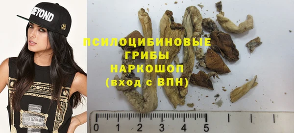 крисы Козельск