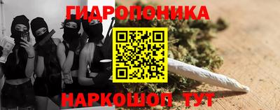 jwh Дубна