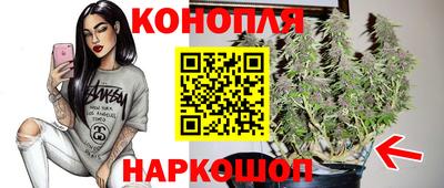jwh Дубна