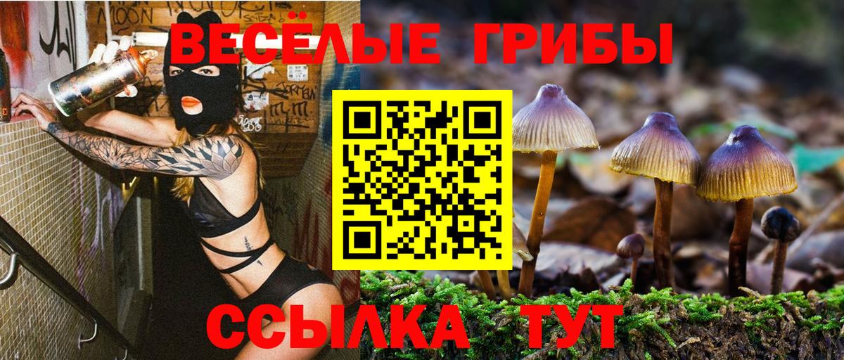 Псилоцибиновые грибы MAGIC MUSHROOMS  Кизляр  Псилоцибиновые грибы Psilocybe 