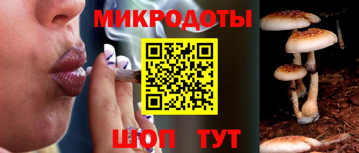 Псилоцибиновые грибы MAGIC MUSHROOMS  Вход с VPN  Кизляр 
