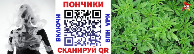Бошки марихуана тримм  мега вход  Кизляр  сколько стоит 